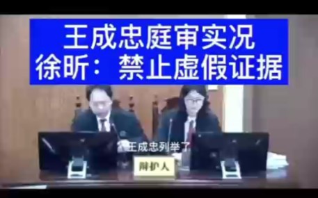 王成忠案:禁止虚假证据哔哩哔哩bilibili