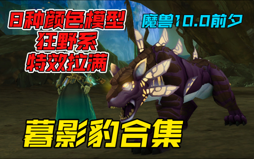 【魔兽世界】暮影豹全合集:颜控们看过来!皆为狂野宠物,三系猎人可抓,详细分享驯服技巧!哔哩哔哩bilibili魔兽世界游戏杂谈