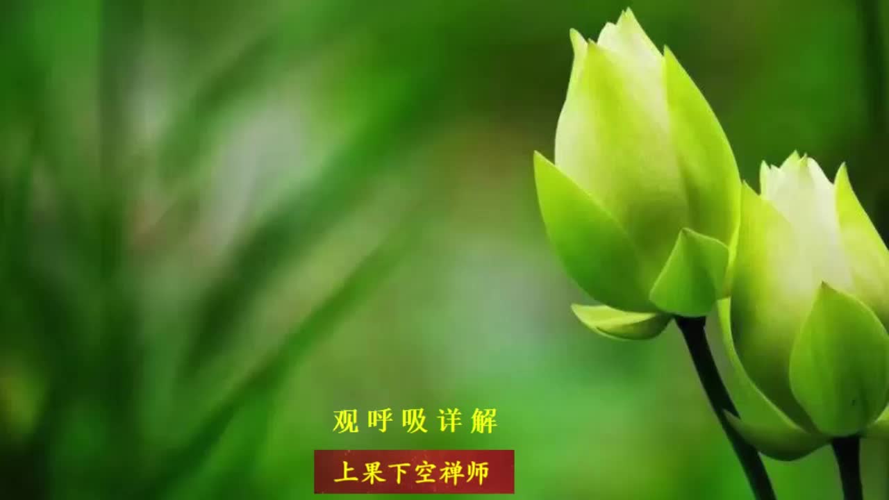 观呼吸详解(最少看三遍)哔哩哔哩bilibili