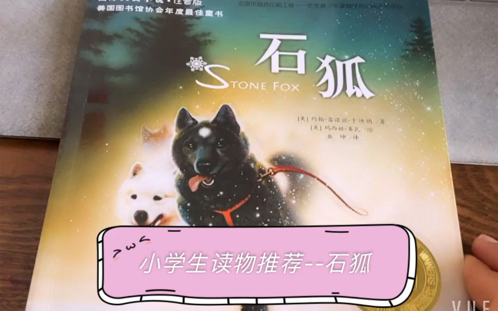 小学生阅读桥梁书《石狐》