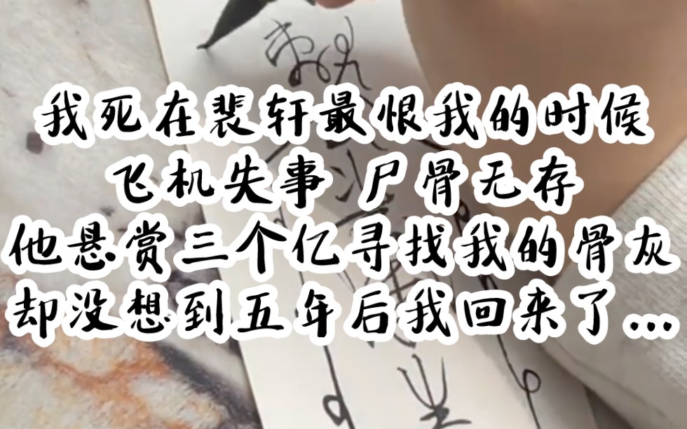 《何必迟情》
