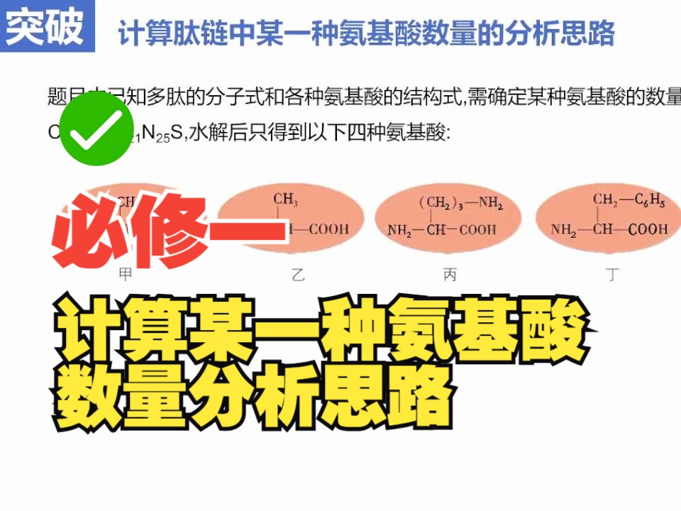 必修一6计算肽链中某一种氨基酸数量的分析思路哔哩哔哩bilibili