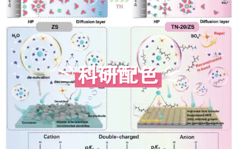 科研绘图|科研配色哔哩哔哩bilibili