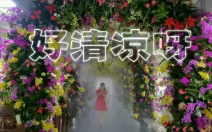 Download Video: 【盛世花盛开，百花庆百年】杭州植物园，我又去看花展了（一）