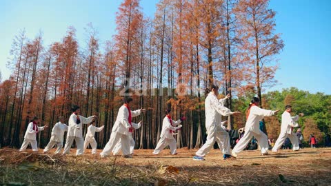 秋天树林里打太极的老人们4k视频素材凌点视频素材网哔哩哔哩bilibili