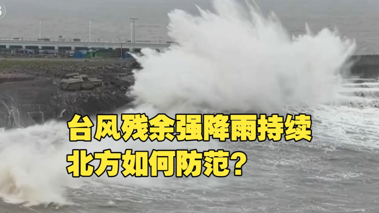新闻1+1丨台风残余强降雨持续，北方如何防范？