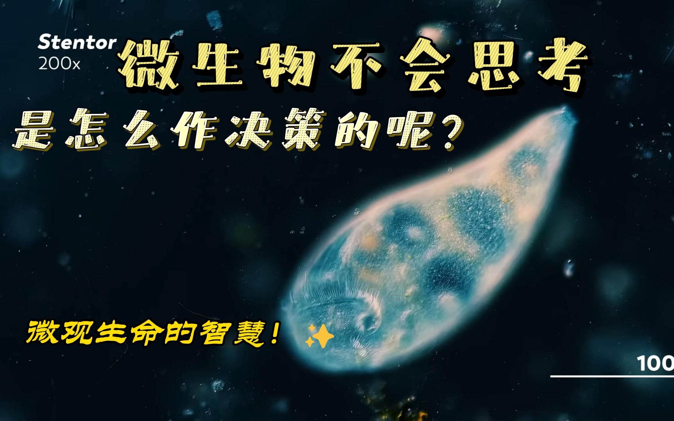 [图]微生物不会思考，是怎么作决策的呢？微观生命的智慧！