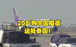 Скачать видео: 20万剂中国新冠疫苗运抵泰国 泰总理亲赴机场迎接