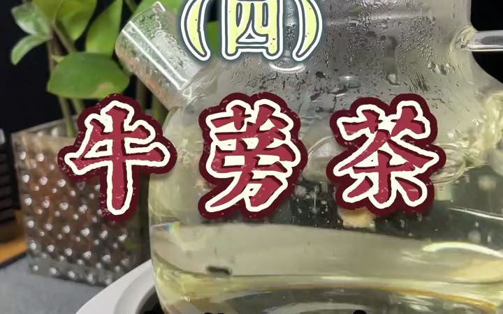 斋饮系列之牛蒡茶清热解毒和疏风利咽.通宵战斗和熬夜加班必备.哔哩哔哩bilibili