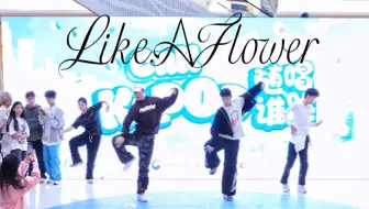 【IRENE】好美的舞！！仙舞配仙曲！！Like A Flower 随机舞蹈