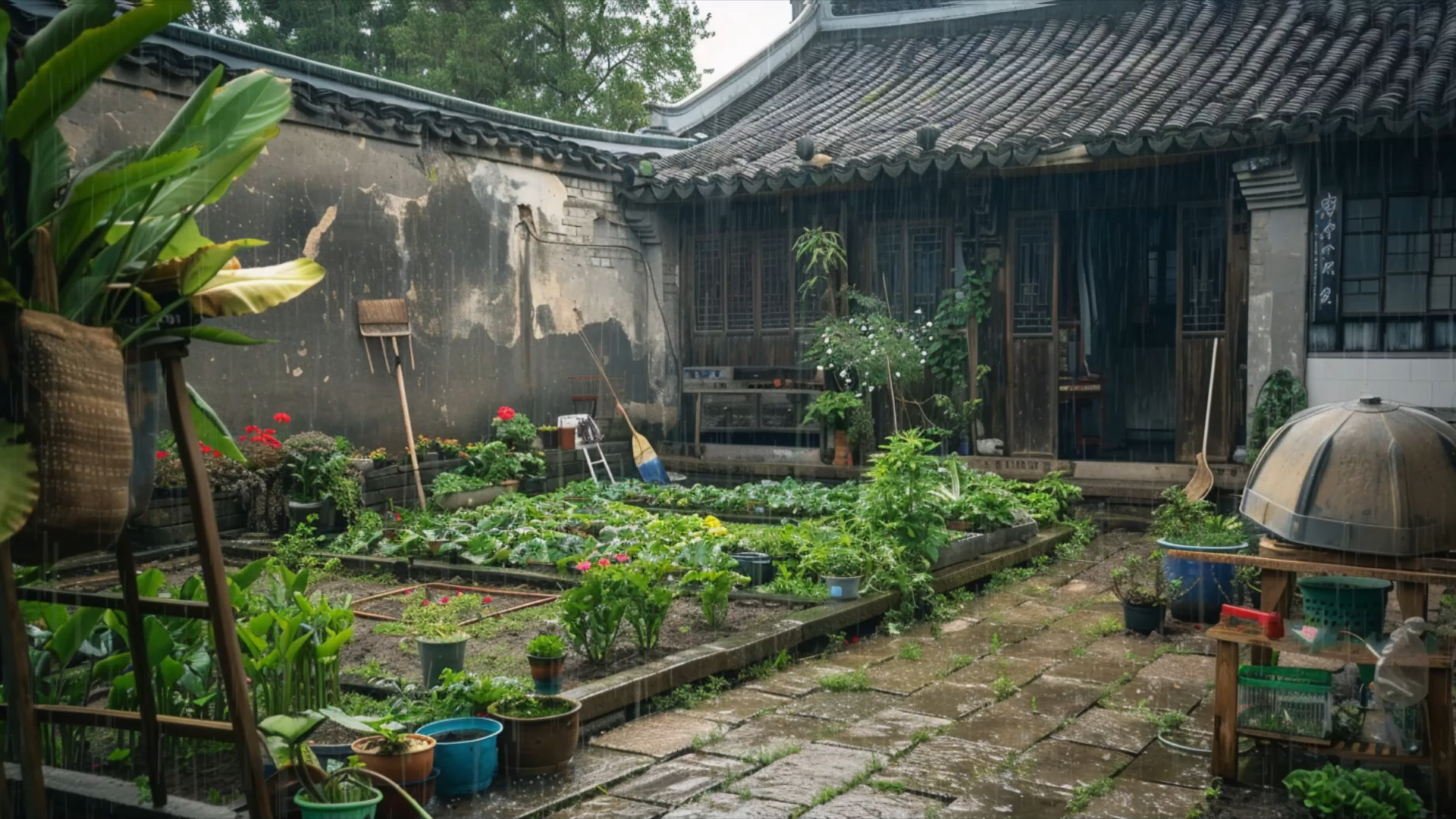 [图]过腻了城市生活，回到乡下住在这样的农家小院，种着菜，好自在丨白噪音 雨声 放松解压 失眠助眠 缓解焦虑 学习 工作丨