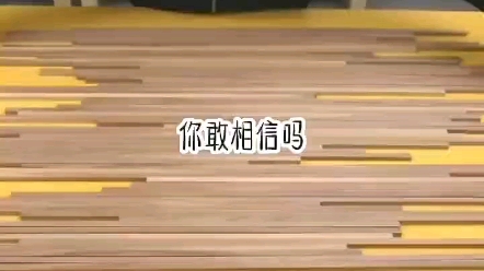 黑豆悬案哔哩哔哩bilibili