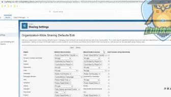 0基础入门_Salesforce_admin管理员课程_中文学习_组织范围默认设置