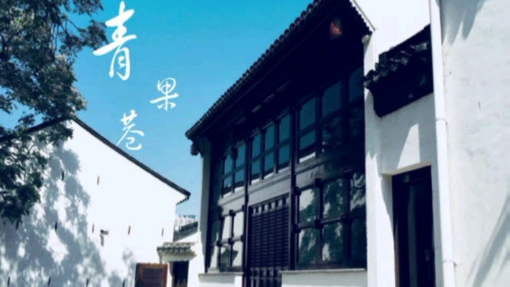 【旅居江苏】常州青果巷:虽有“江南名士第一巷”之称,却为何游客远少于苏州平江路?哔哩哔哩bilibili