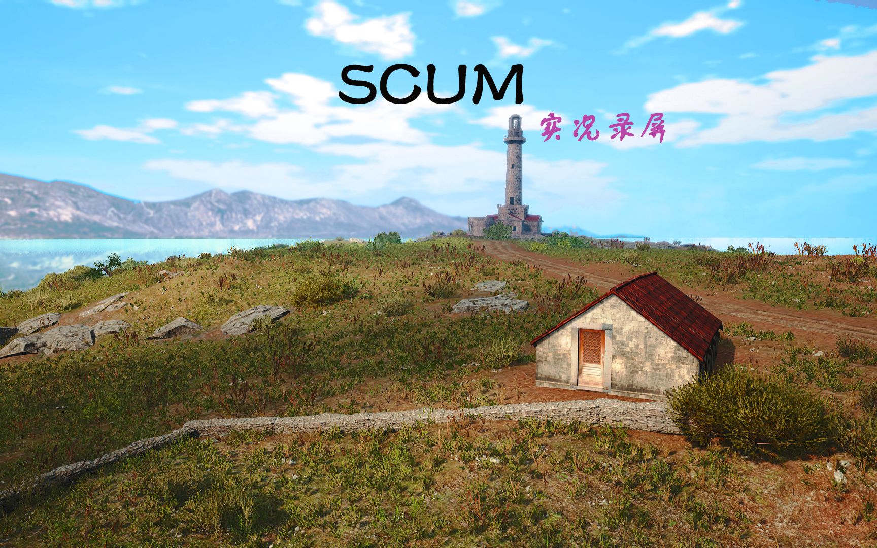 [图]SCUM 代号：01期