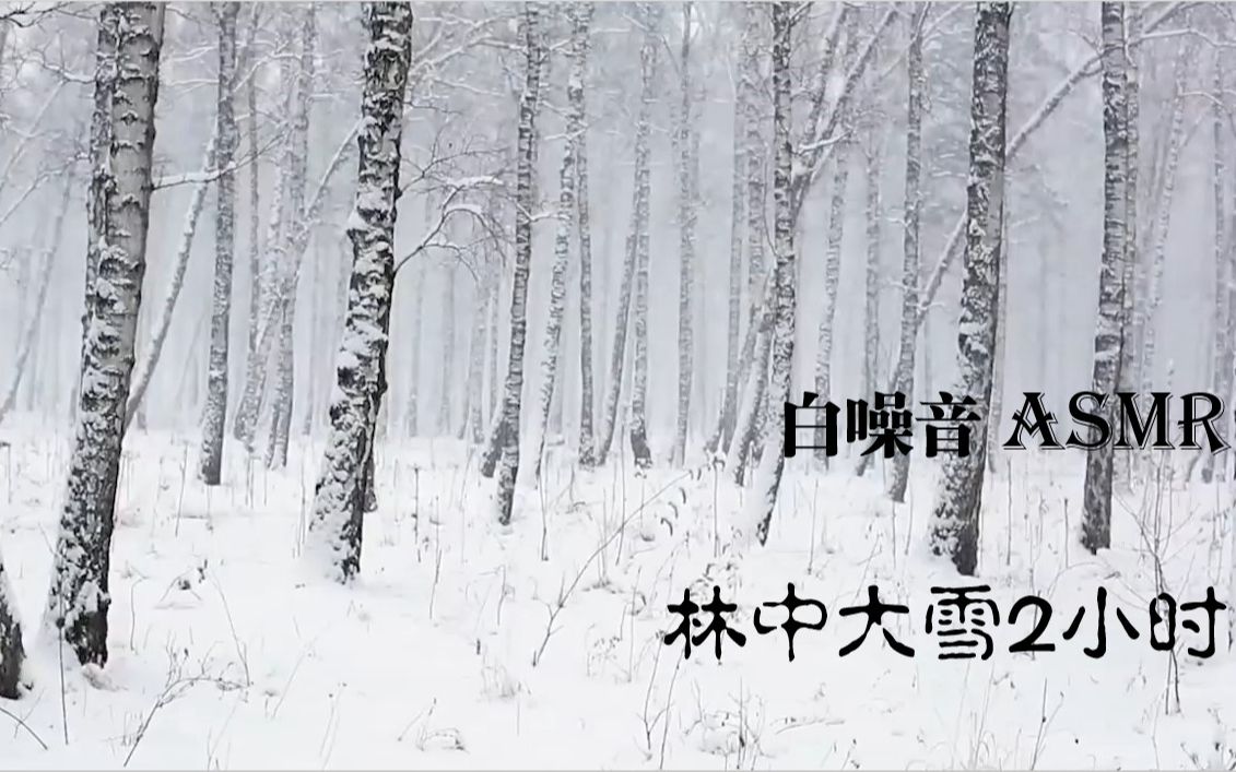 [图]【白噪音】【自然】林中大雪2小时