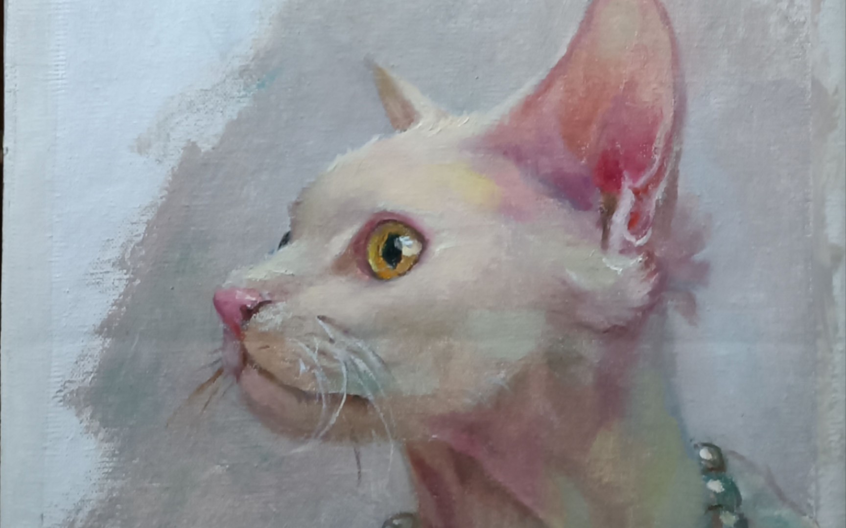 油画练习猫咪头像