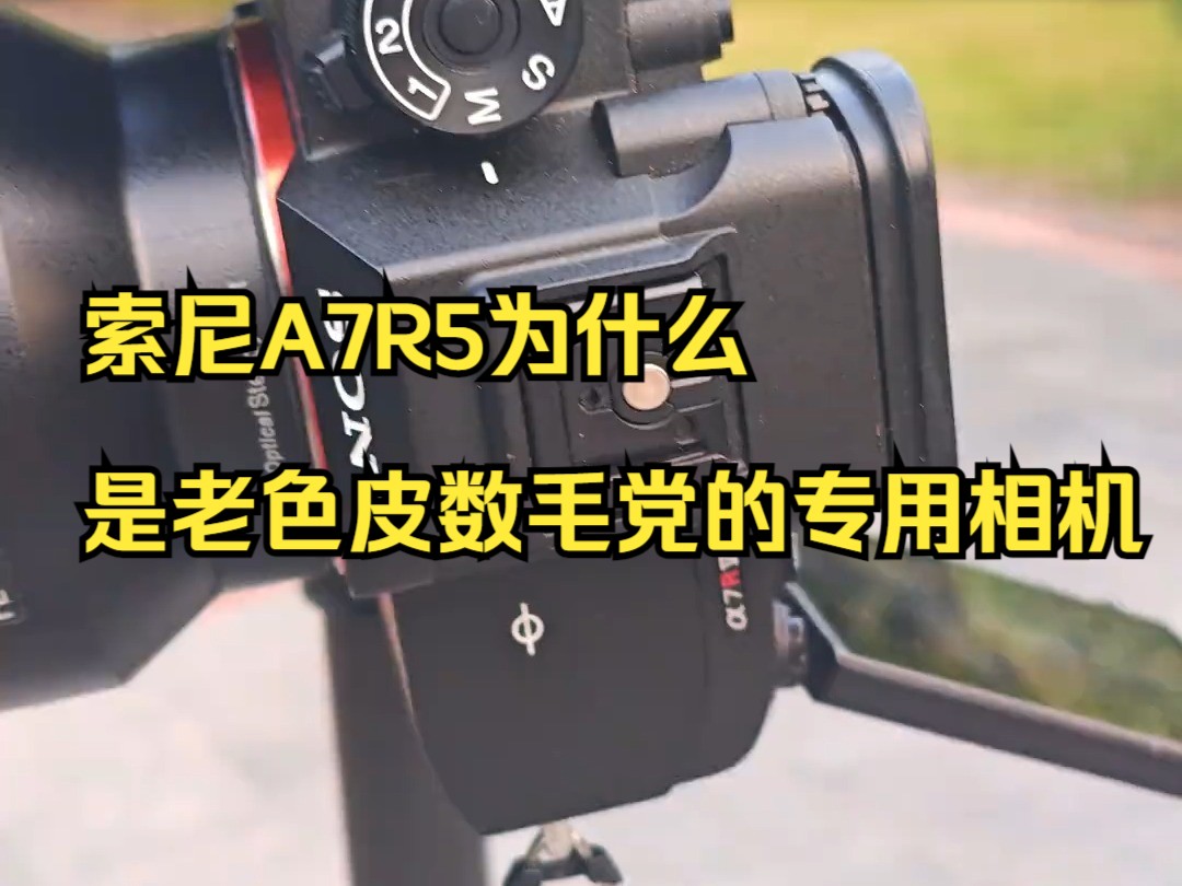 6100万像素的索尼A7R5为什么是老色皮数毛党的专用相机?哔哩哔哩bilibili