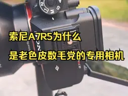 Tải video: 6100万像素的索尼A7R5为什么是老色皮数毛党的专用相机？