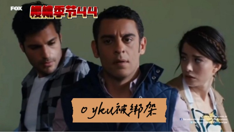 【土耳其爱情】《樱桃季节》44.4完 oyku被绑架