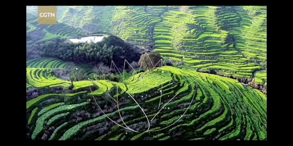 [图]江西婺源-花海中的乡村