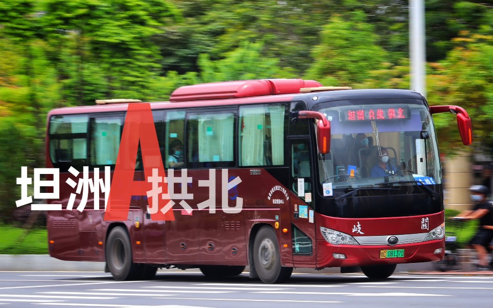 【7元即走的跨市飞车】岐关定制公交A线POV 城轨珠海站(拱北)→锦绣国际花城(坦洲) Vol.54哔哩哔哩bilibili