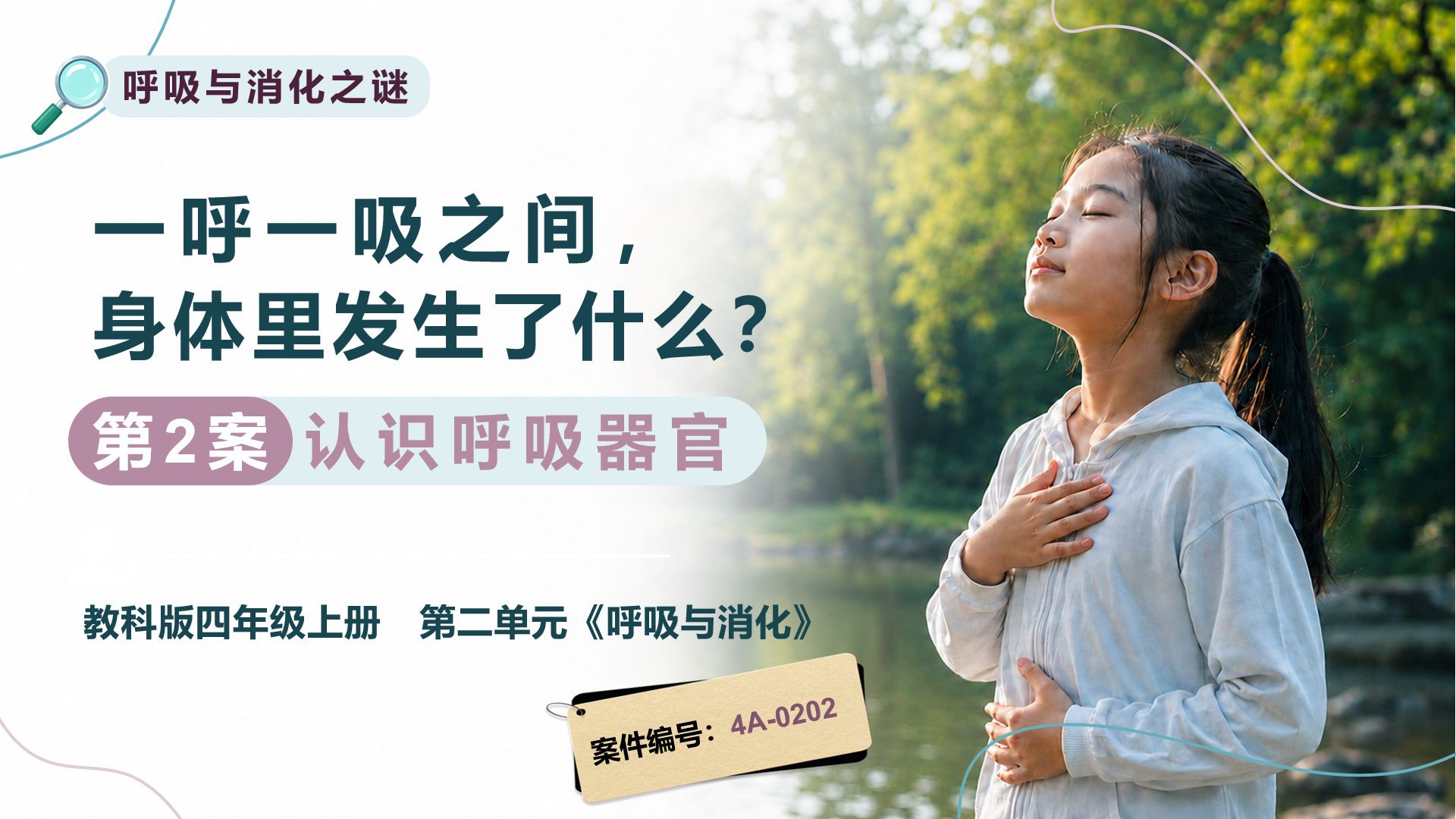 《2.2认识呼吸器官》新教科版科学·四上