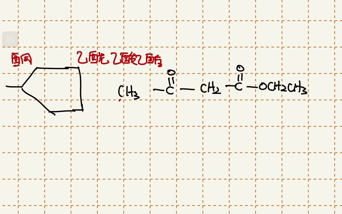 大连理工大学海洋科学与技术学院环生类2102有机化学辅导第九讲!哔哩哔哩bilibili