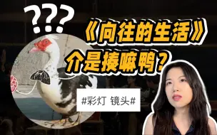 Download Video: 《向往的生活》：自然高贵慢综艺（✗）饭圈臭水沟（✓ ）