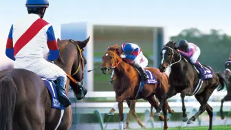 赛马 特别周之女 Cesario 西沙里奥 05日本橡树大赛 G1 最后600m33 3秒冲刺 哔哩哔哩 Bilibili