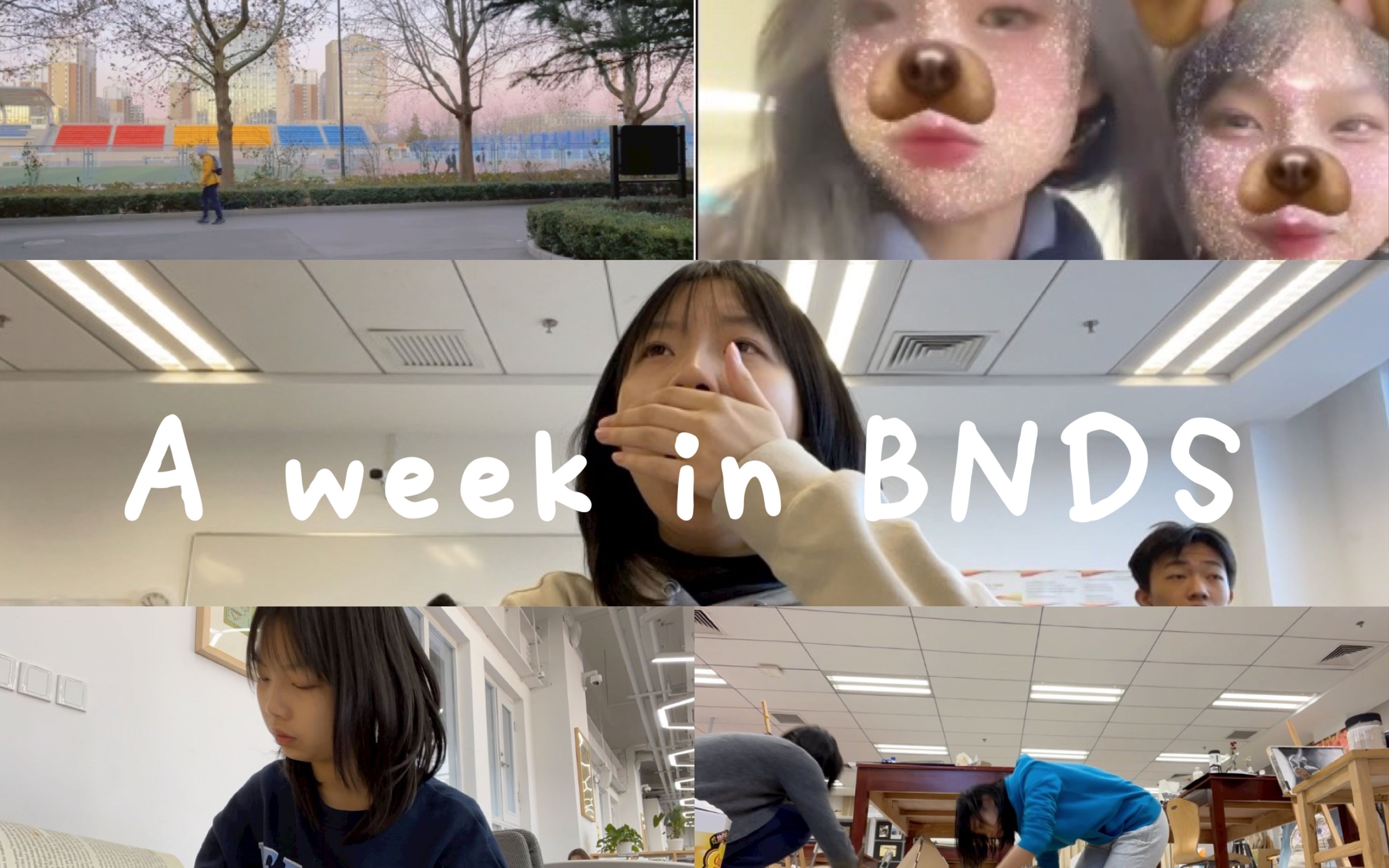 Cynthia's vlog | A week in BNDS | 高二一周流水账|学习犯困|上课记录|社团|废话|给朋友做礼物哔哩哔哩bilibili