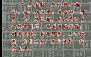 [图]《中国形意拳~山西卷》06炮拳。