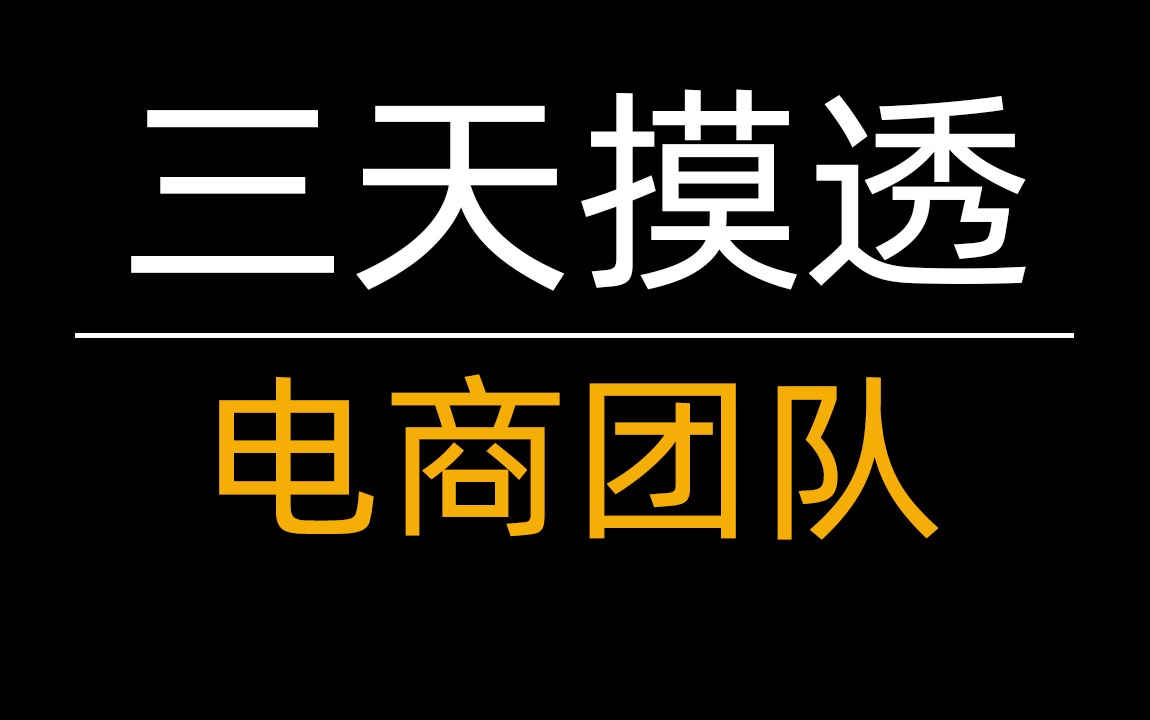 三天摸透电商团队,帮你判断这家公司是否值得干下去哔哩哔哩bilibili