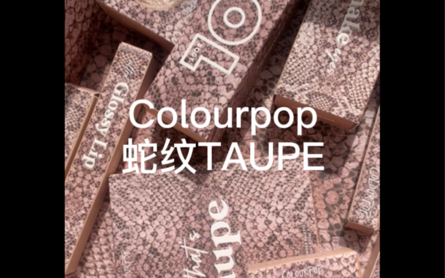 Colourpop 蛇纹系列水泥TAUPE哔哩哔哩bilibili