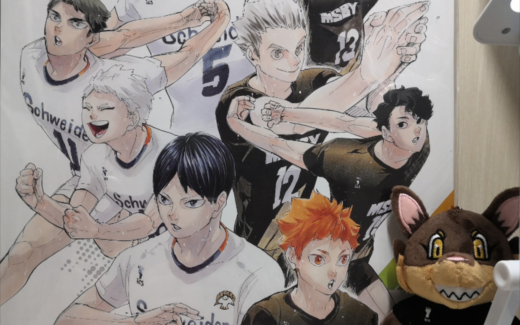 排球少年原画二弹,六弹吧唧拆箱读博