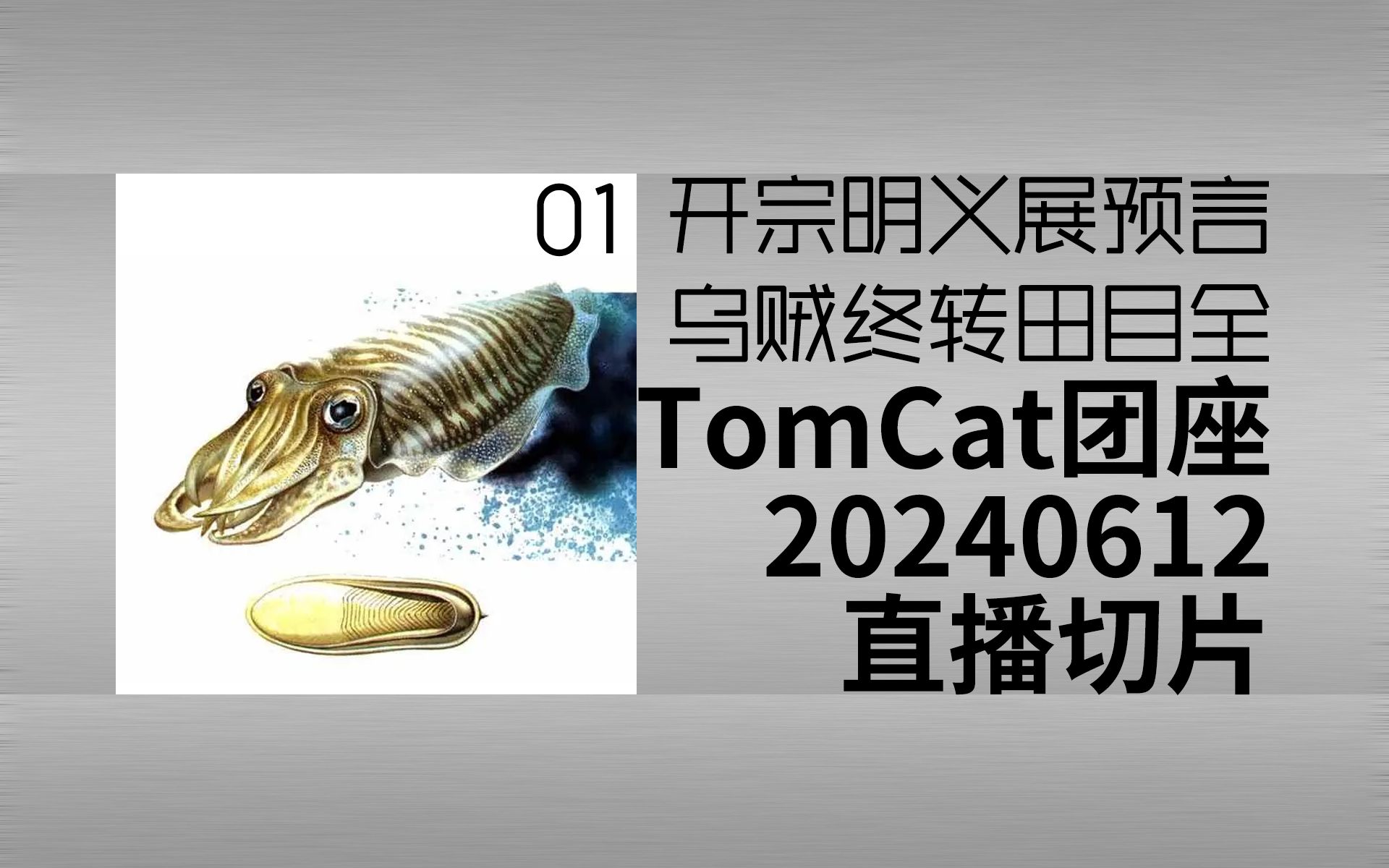 【切片】TomCat团座20240612直播切片 | 01 开宗明义展预言 乌贼终转田目全 字幕精剪版哔哩哔哩bilibili