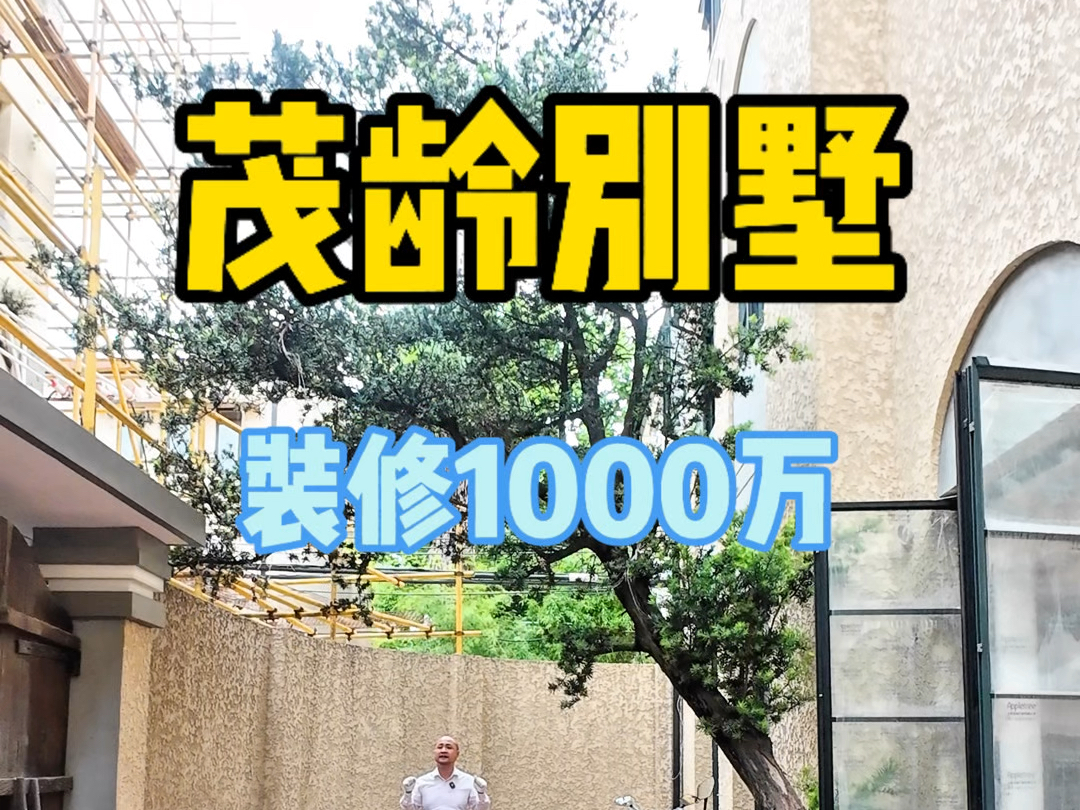 装修1000万亏本卖新里洋房茂龄别墅哔哩哔哩bilibili