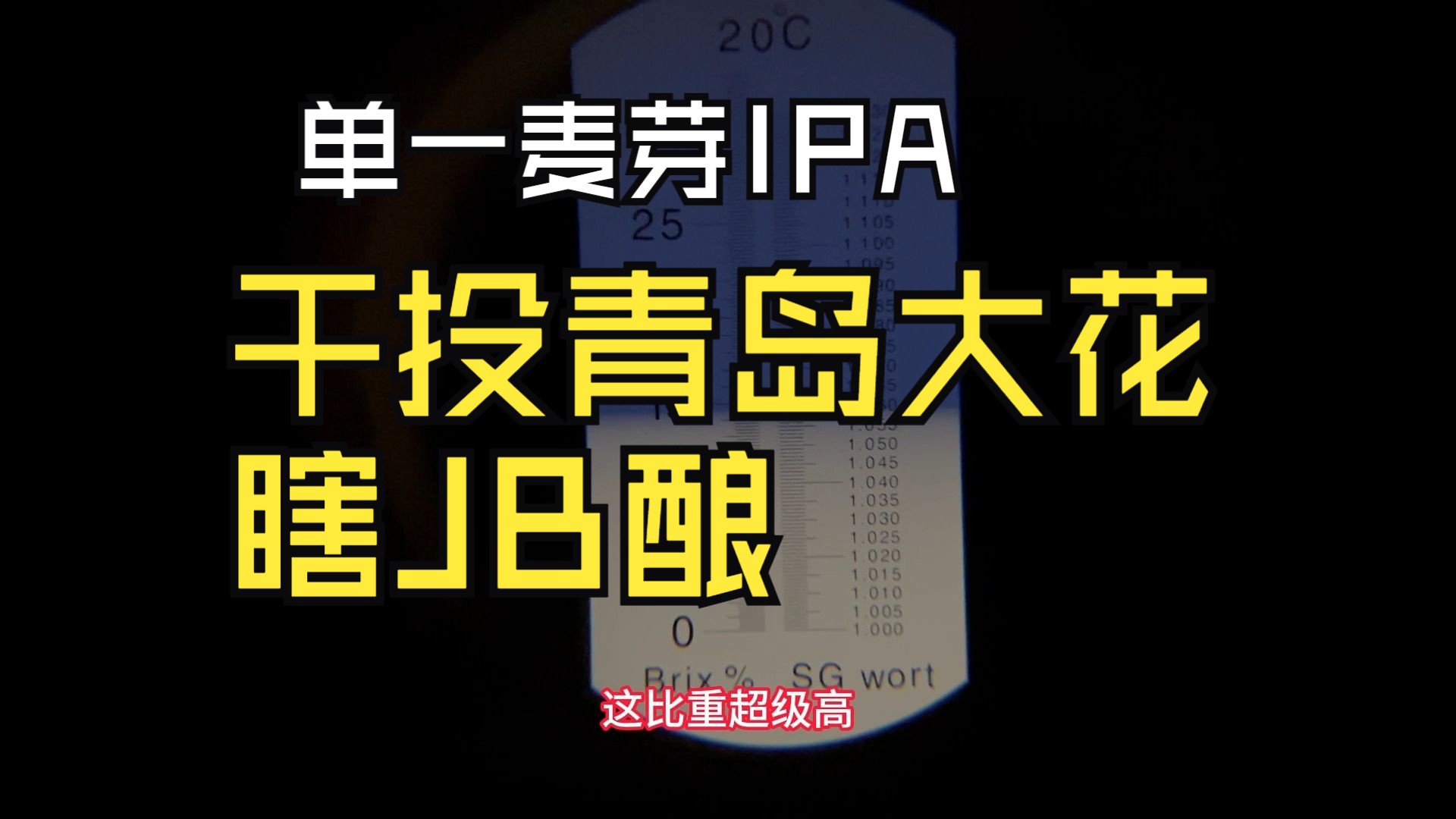 酿个IPA单一麦芽干投青岛大花是什么效果?兄弟们又来云酿酒了哔哩哔哩bilibili