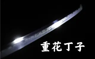 花丁子 搜索结果 哔哩哔哩 Bilibili