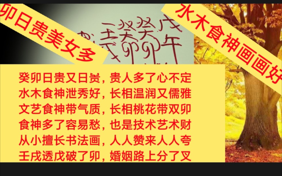 癸卯日贵格八字实战课堂解析,癸卯又癸卯,漂亮又温润,天乙月贵财带贵,一生财运有人给,可惜卯午破了局,婚姻首次告了吹.哔哩哔哩bilibili