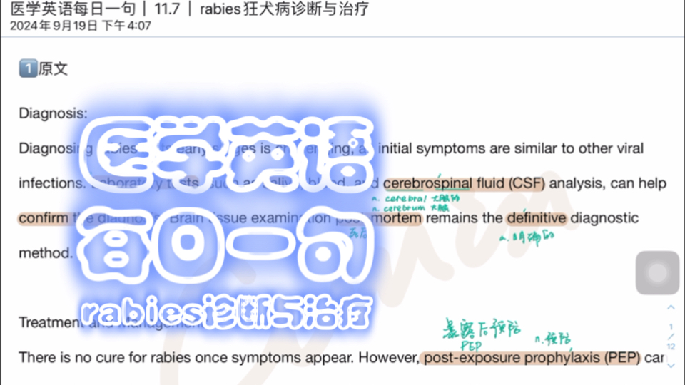 医英每日一句|11.7|rabies诊断与治疗哔哩哔哩bilibili