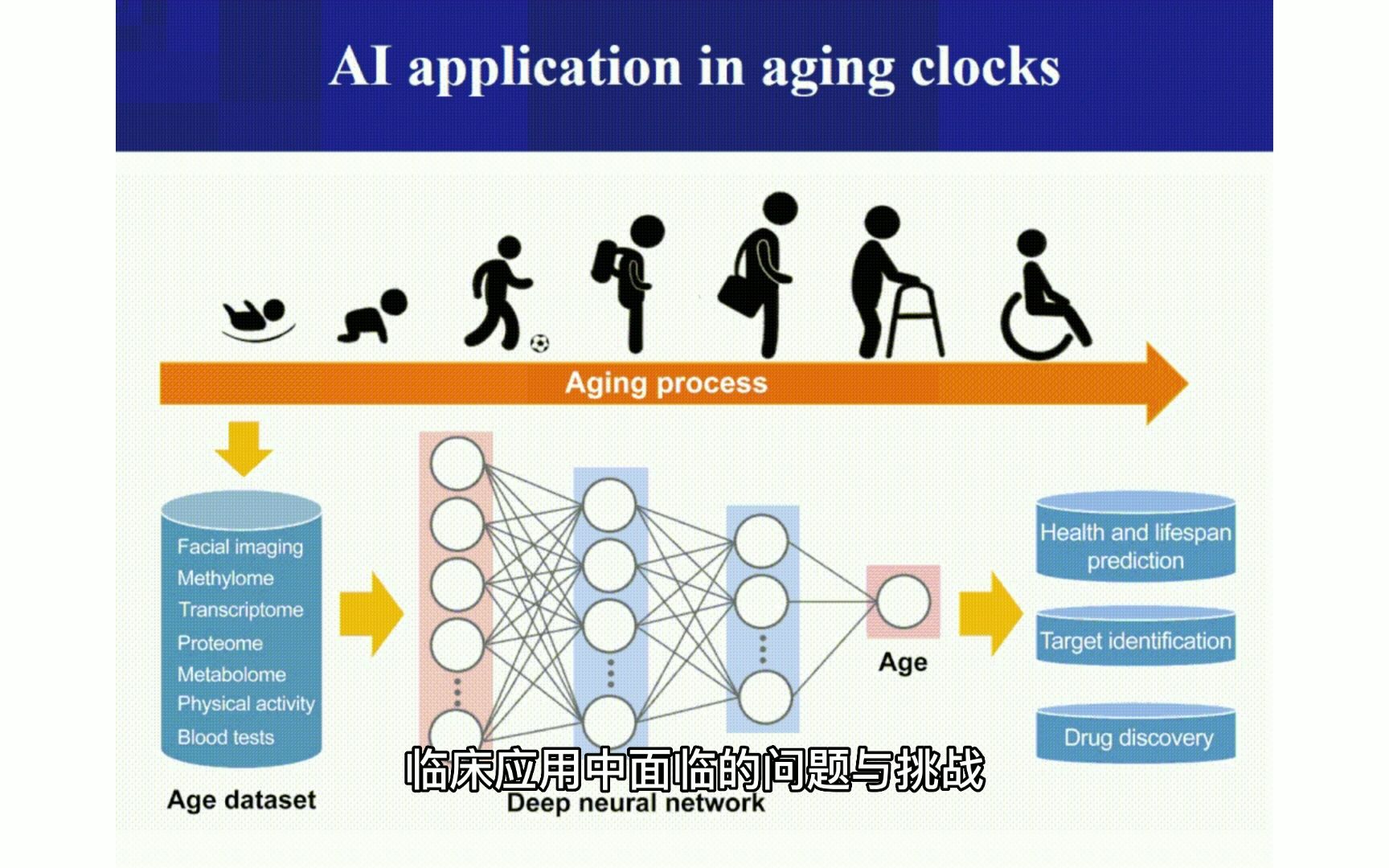 #Brainnews 【前沿快讯】什么是衰老?中国科学家联合发布“衰老标志物”的重磅综述哔哩哔哩bilibili