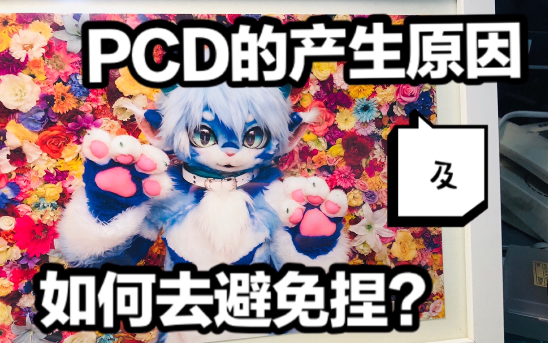 你想知道的furry知识都在这里!(第三期)哔哩哔哩bilibili