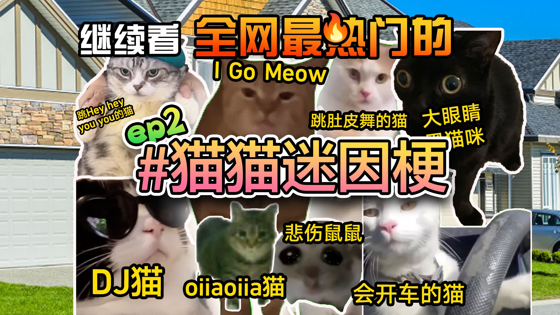 [图]继续看全网最热门的 #猫猫迷因梗 合集！ Ep.2 | 猫Meme | 迷因由来 | p87gaming