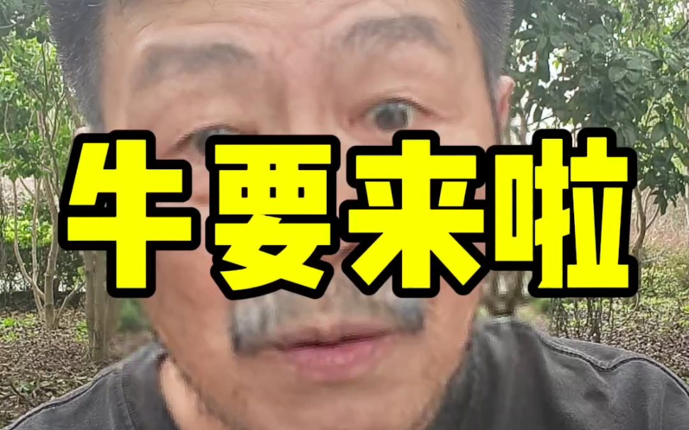 牛真的要来啦?真的吗?#金融#股票哔哩哔哩bilibili