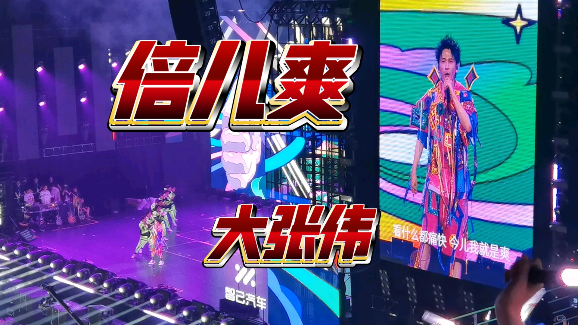 倍儿爽-大张伟深圳演唱会,这不比辉子的爽一百倍