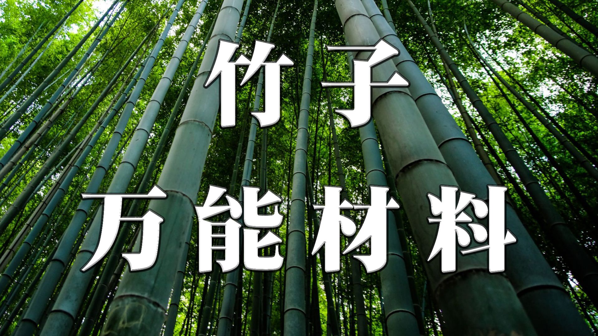 [图]【禾本科二】120年繁殖一次 一天长高150cm 从铝合金到塑料碳纤维 一个物种全代替！