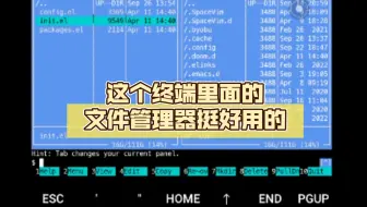 这个终端里面的文件管理器挺好用的
