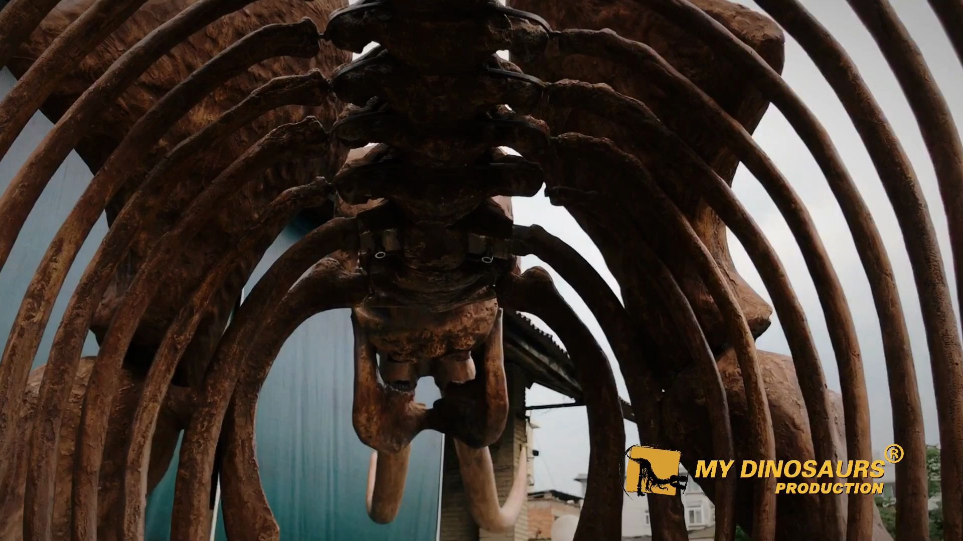 仿真古菱齿象骨骼模型 定制动物骨骼标本模型工厂_哔哩哔哩_bilibili