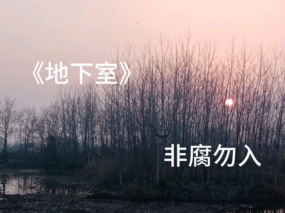 广播剧《地下室》哔哩哔哩bilibili